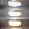 LED lubų šviestuvas, 48W, baltas/medžio, CCT šviesa, nuotolinis valdymas