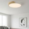 LED lubų šviestuvas, 48W, baltas/medžio, CCT šviesa, nuotolinis valdymas