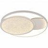LED lubų šviestuvas, 64W, baltas/pilkas, CCT šviesa, nuotolinis valdymas LED lubų šviestuvas, 64W, baltas/pilkas, CCT šviesa, nuotolinis valdymas