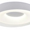 LED lubų šviestuvas, 36W, apvalus, pilkas, atmintis, nuotolinis valdymas, CCT šviesa