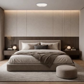 LED lubų šviestuvas, 20W, apvalus, sidabrinis, atmintis, nuotolinis valdymas, CCT šviesa LED lubų šviestuvas, 20W, apvalus, sidabrinis, atmintis, nuotolinis valdymas, CCT šviesa