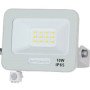 LED prožektorius, baltas, PIR jutiklis, 10W, 120°, šalta balta šviesa