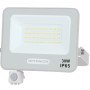 LED prožektorius, baltas, PIR jutiklis, 30W, 120°, šalta balta šviesa