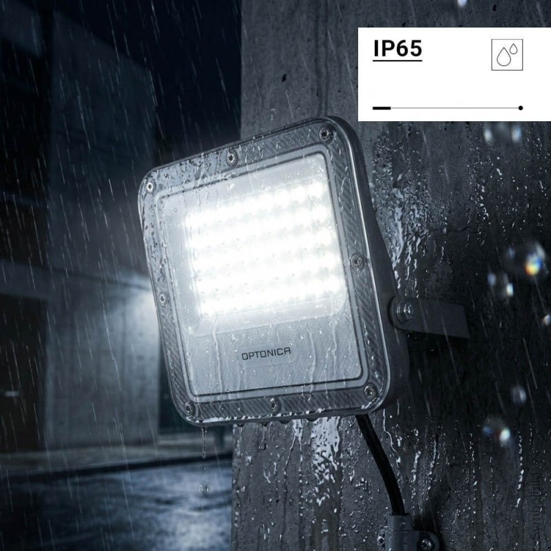 LED prožektorius, pilkas, 100Lm/W, 30W, šalta balta šviesa