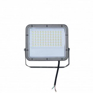 LED prožektorius, pilkas, 100Lm/W, 50W, neutrali balta šviesa