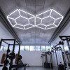 LED korys (hexagon), 14HEX, 315W, šalta balta šviesa