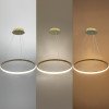 LED pakabinamas šviestuvas, 30W, šlifuotas auksas, dimeriuojamas, nuotolinis valdymas, CCT LED pakabinamas šviestuvas, 30W, šlifuotas auksas, dimeriuojamas, nuotolinis valdymas, CCT