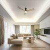 LED lubų šviestuvas/ventiliatorius, 18W, CCT šviesa, juodas/medis, nuotolinis valdymas LED lubų šviestuvas/ventiliatorius, 18W, CCT šviesa, juodas/medis, nuotolinis valdymas