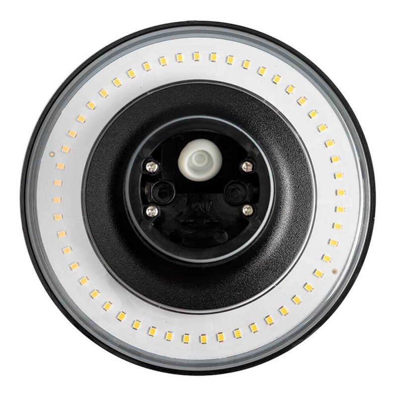 LED sieninis šviestuvas, juodas, 12W, 1200Lm, šilta balta šviesa