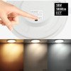LED mini panelė, apvali, Premium Line, 18W, CCT šviesa