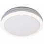 LED lubų šviestuvas, 20W, baltas, CCT šviesa, mikrobanginis jutiklis