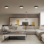 LED lubų šviestuvas, 18W, juodas, šilta balta šviesa