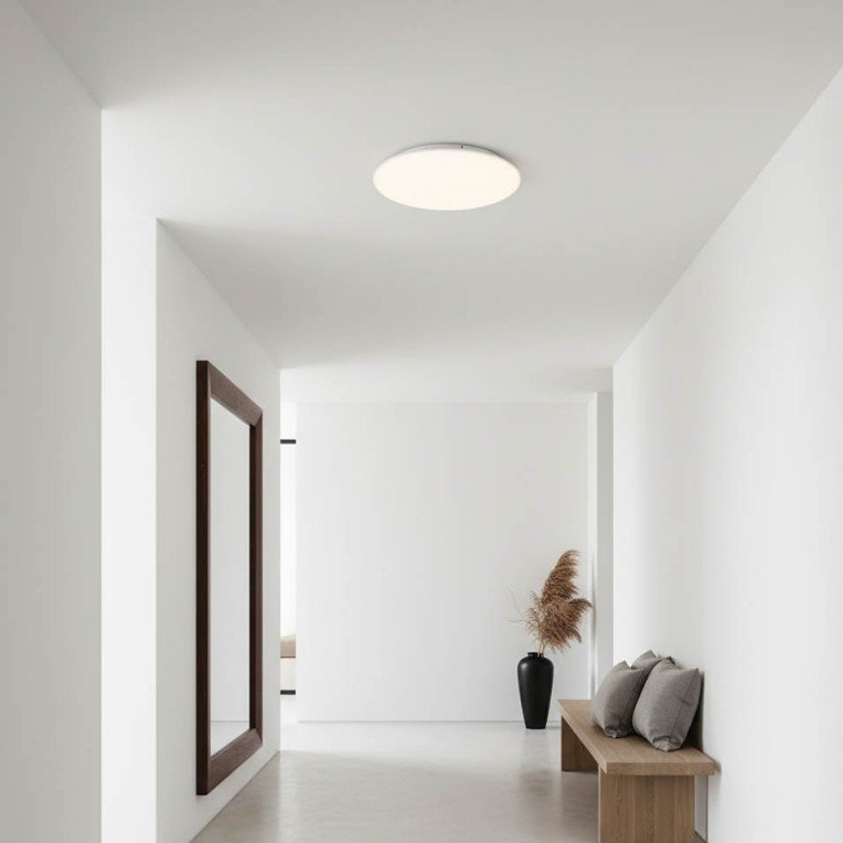 LED lubų šviestuvas, 18W, baltas, CCT šviesa