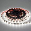 LED S-juosta, 7.2W/m, 720Lm/m, 12V, šalta balta šviesa