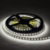 LED juosta, 9.6W/m, 600Lm/m, 12V, Pro, šalta balta šviesa