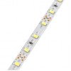 LED juosta, 12W/m, 1000Lm/m, 12V, Pro, šalta balta šviesa LED juosta, 12W/m, 1000Lm/m, 12V, Pro, šalta balta šviesa