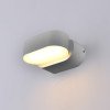 LED sieninis šviestuvas, pilkas, pasukamas, 6W, šilta balta šviesa