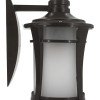 LED sieninė pakabinama lempa, 5W, tamsi bronzinė, liepsnos imitacija LED sieninė pakabinama lempa, 5W, tamsi bronzinė, liepsnos imitacija