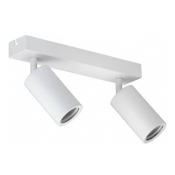 LED taškinis šviestuvas, 2 lemputės, baltas