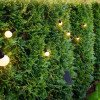 LED lauko saulės girlianda, 10m, 20 lizdų, G50, matinės lemputės, šilta balta šviesa LED lauko saulės girlianda, 10m, 20 lizdų, G50, matinės lemputės, šilta balta šviesa
