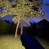LED saulės šviestuvas 2W, įsmeigiamas, šilta balta šviesa LED saulės šviestuvas 2W, įsmeigiamas, šilta balta šviesa
