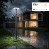 LED saulės sodo šviestuvas, 15W, RGB spalvos